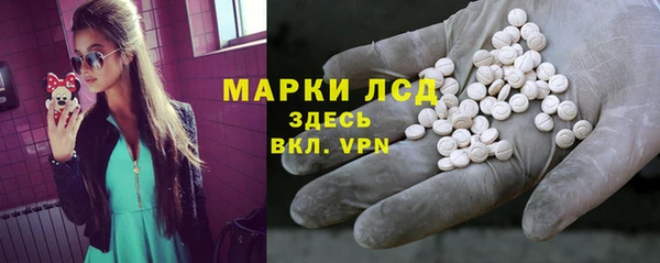 сатива Магас