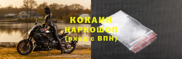 сатива Магас