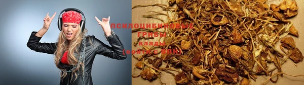 спайс Майский